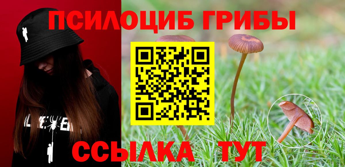 Галлюциногенные грибы MAGIC MUSHROOMS Протвино