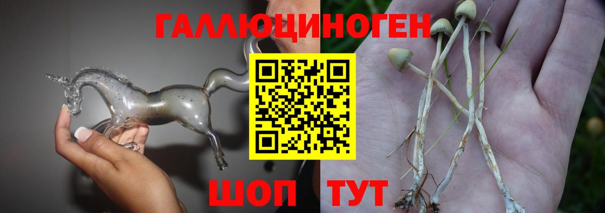 Протвино  Псилоцибиновые грибы MAGIC MUSHROOMS  Вход с VPN 
